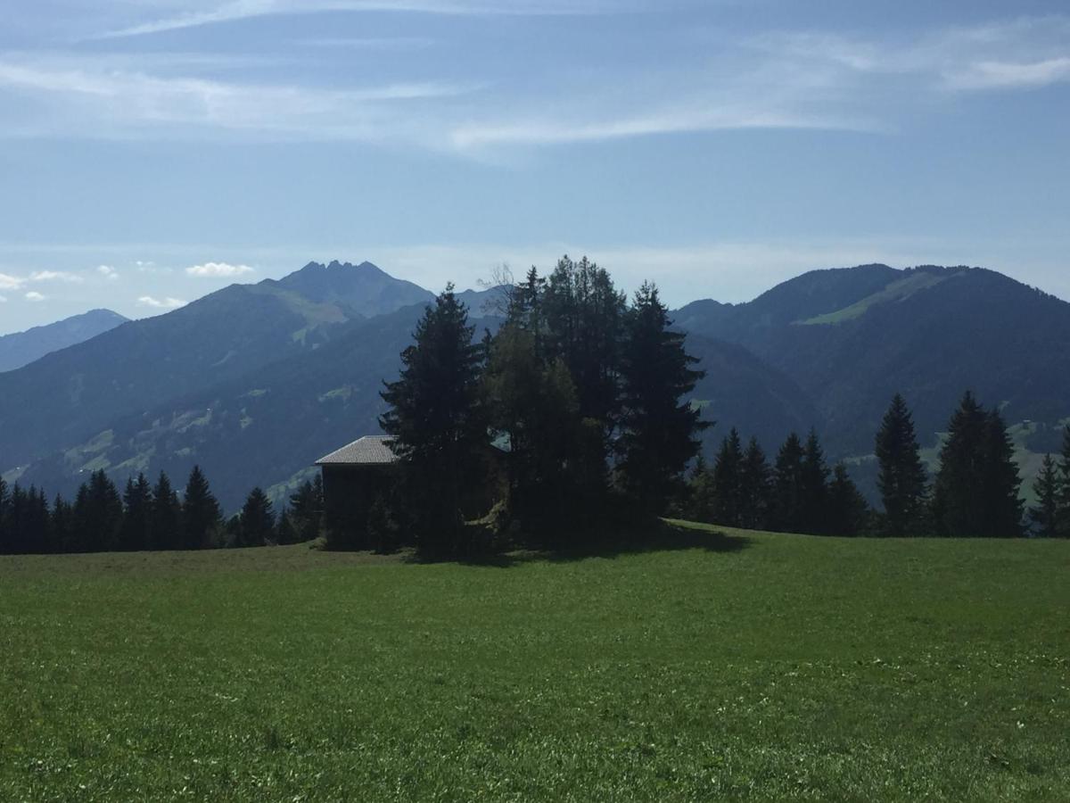 Ferienwohnung Gruber-Hansen Kaltenbach Exteriér fotografie